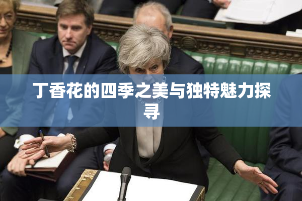 丁香花的四季之美与独特魅力探寻