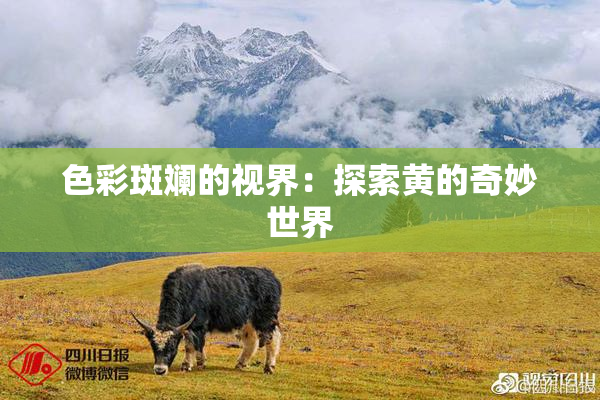 色彩斑斓的视界：探索黄的奇妙世界