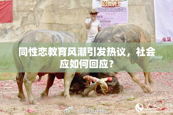 同性恋教育风潮引发热议，社会应如何回应？