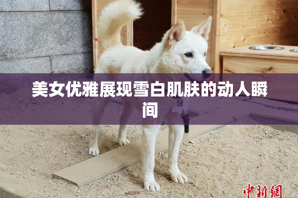 美女优雅展现雪白肌肤的动人瞬间