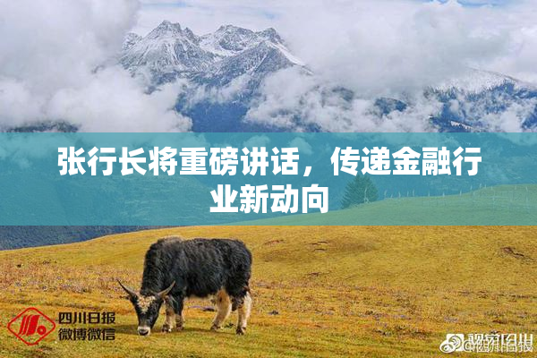 张行长将重磅讲话，传递金融行业新动向