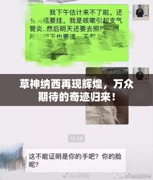 草神纳西再现辉煌，万众期待的奇迹归来！