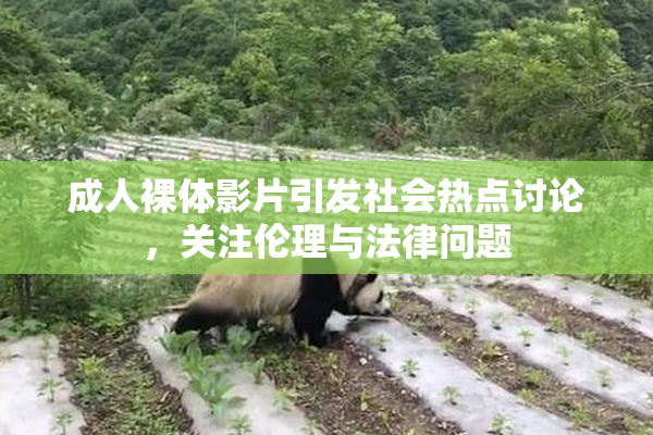 成人裸体影片引发社会热点讨论，关注伦理与法律问题