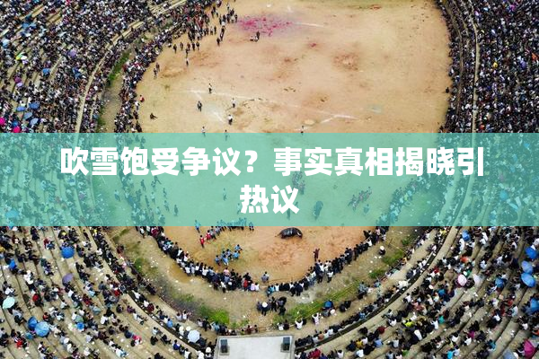 吹雪饱受争议？事实真相揭晓引热议