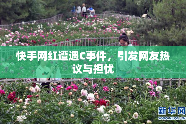 快手网红遭遇C事件，引发网友热议与担忧