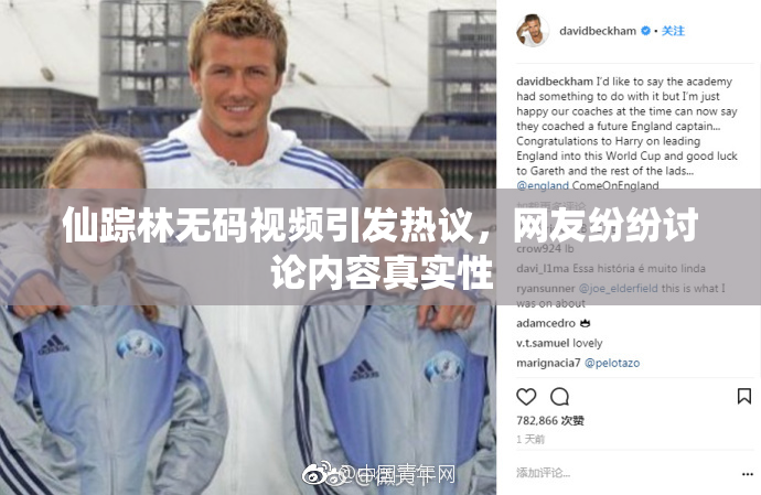 仙踪林无码视频引发热议，网友纷纷讨论内容真实性