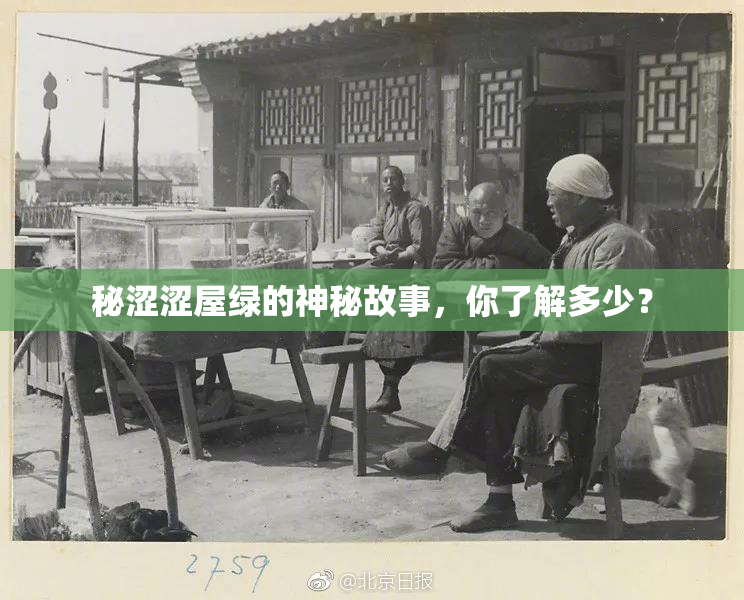 秘涩涩屋绿的神秘故事，你了解多少？