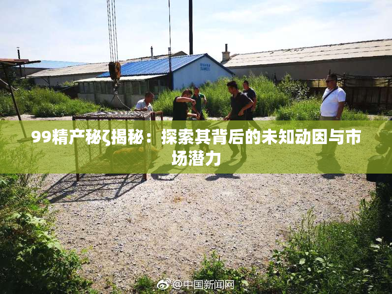 99精产秘ζ揭秘：探索其背后的未知动因与市场潜力