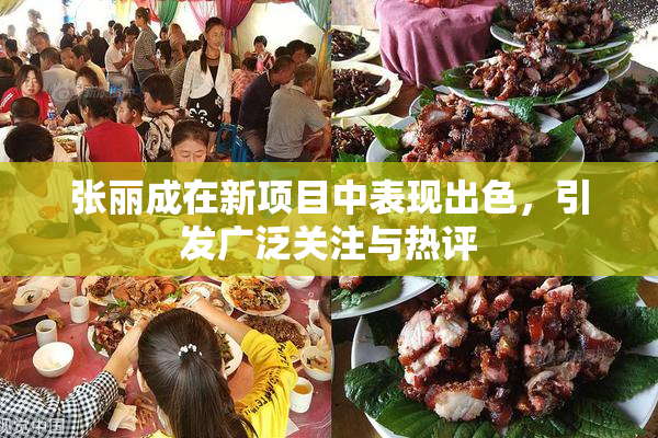张丽成在新项目中表现出色，引发广泛关注与热评