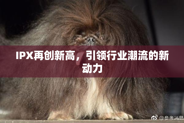 IPX再创新高，引领行业潮流的新动力