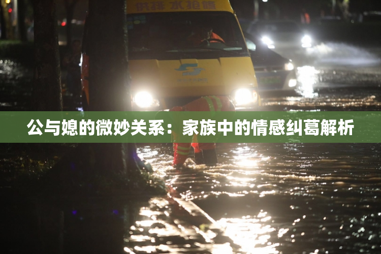 公与媳的微妙关系：家族中的情感纠葛解析