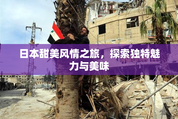 日本甜美风情之旅，探索独特魅力与美味