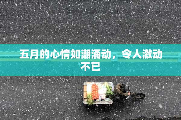 五月的心情如潮涌动，令人激动不已