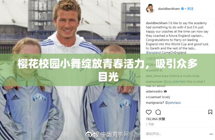 樱花校园小舞绽放青春活力，吸引众多目光