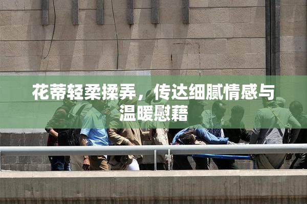 花蒂轻柔揉弄，传达细腻情感与温暖慰藉