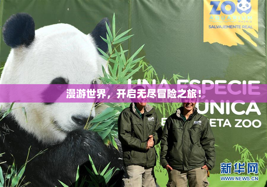 漫游世界，开启无尽冒险之旅！