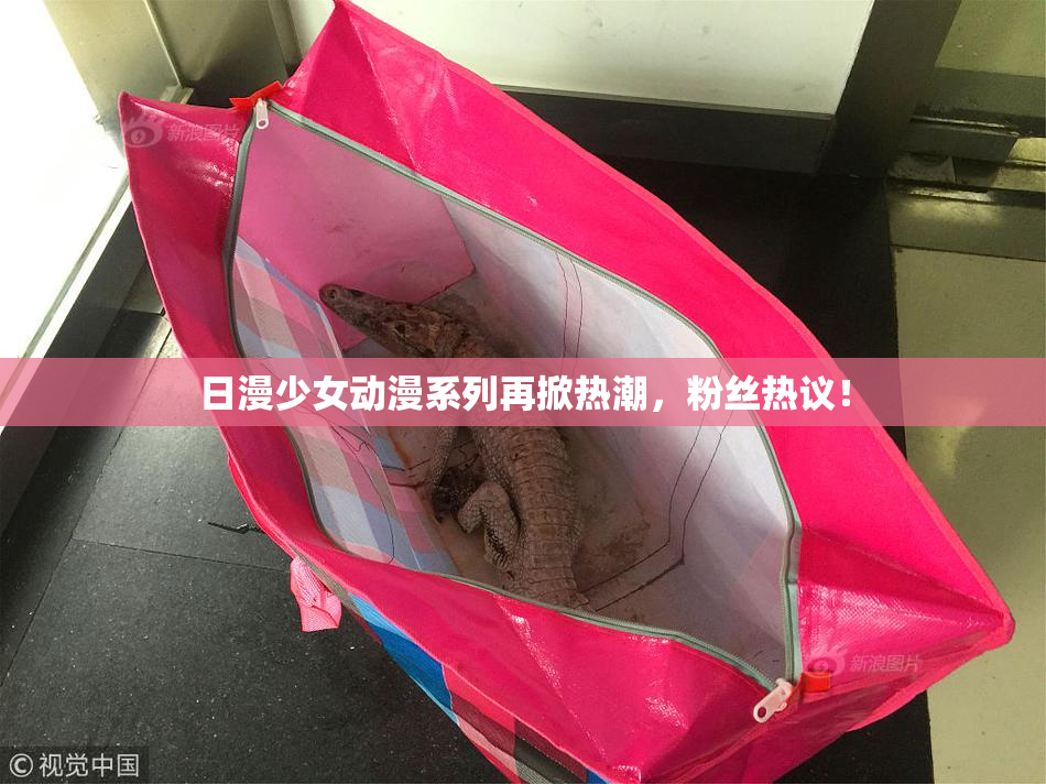 日漫少女动漫系列再掀热潮，粉丝热议！