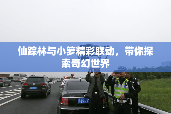 仙踪林与小箩精彩联动，带你探索奇幻世界