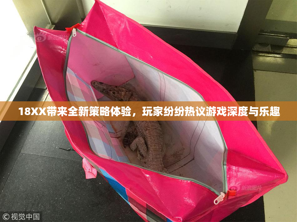 18XX带来全新策略体验，玩家纷纷热议游戏深度与乐趣