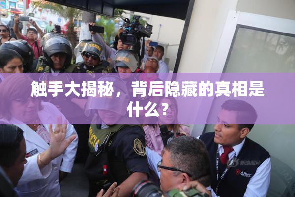 触手大揭秘，背后隐藏的真相是什么？