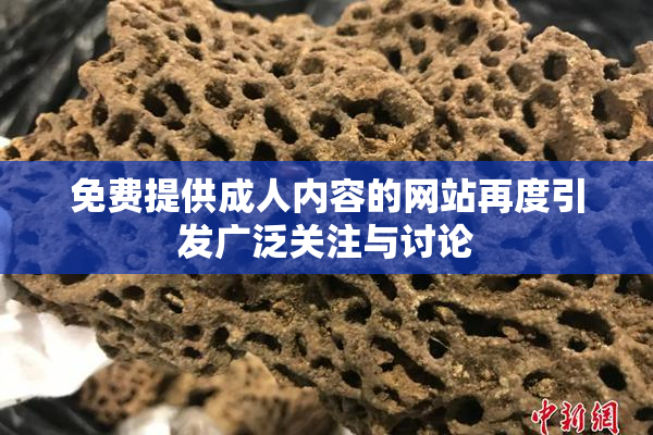 免费提供成人内容的网站再度引发广泛关注与讨论