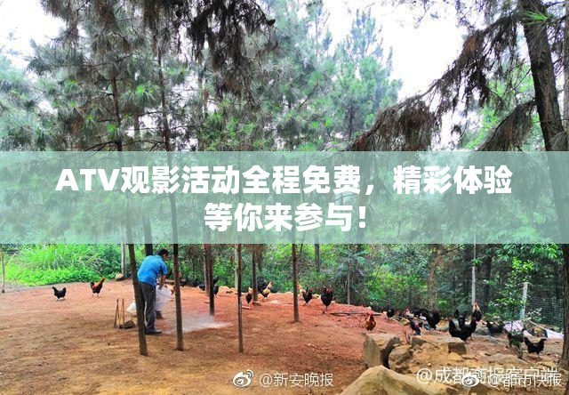 ATV观影活动全程免费，精彩体验等你来参与！