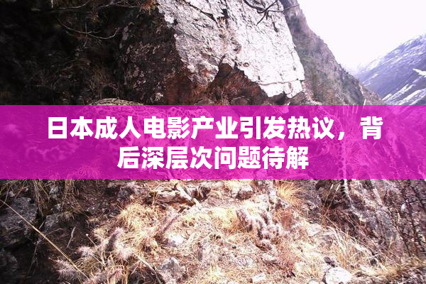 日本成人电影产业引发热议，背后深层次问题待解