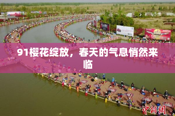 91樱花绽放，春天的气息悄然来临