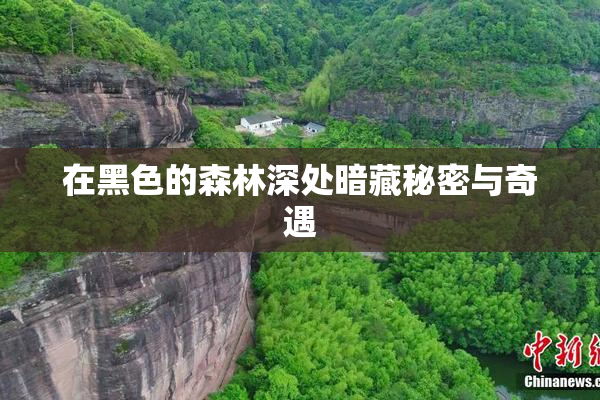 在黑色的森林深处暗藏秘密与奇遇