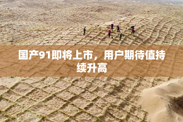 国产91即将上市，用户期待值持续升高