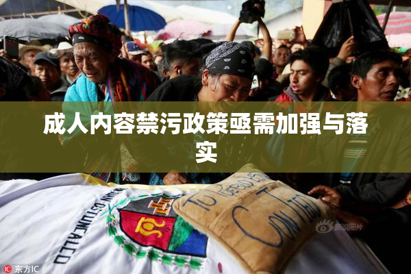 成人内容禁污政策亟需加强与落实