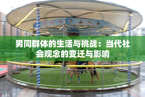 男同群体的生活与挑战：当代社会观念的变迁与影响
