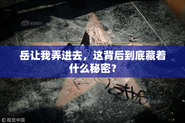岳让我弄进去，这背后到底藏着什么秘密？
