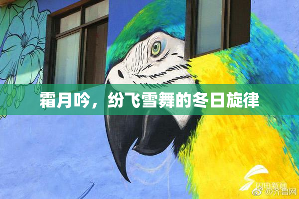 霜月吟，纷飞雪舞的冬日旋律