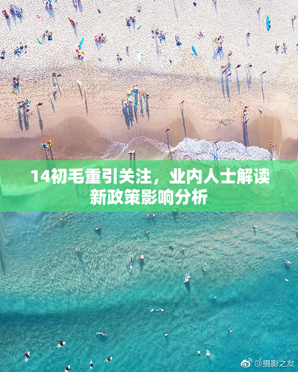 14初毛重引关注，业内人士解读新政策影响分析