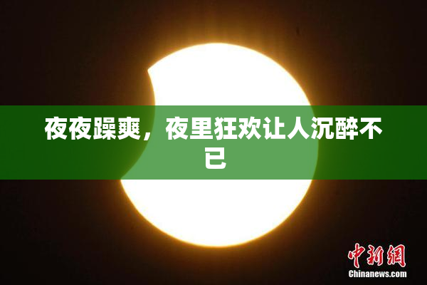夜夜躁爽，夜里狂欢让人沉醉不已