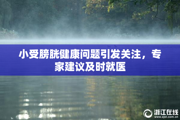 小受膀胱健康问题引发关注，专家建议及时就医