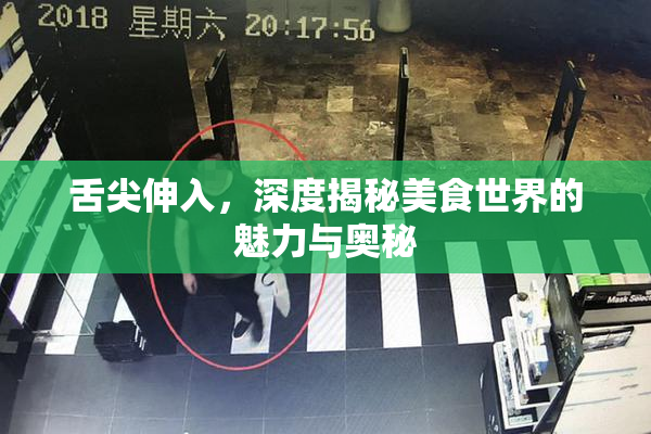 舌尖伸入，深度揭秘美食世界的魅力与奥秘