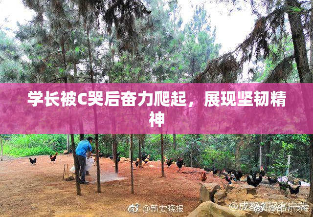 学长被C哭后奋力爬起，展现坚韧精神