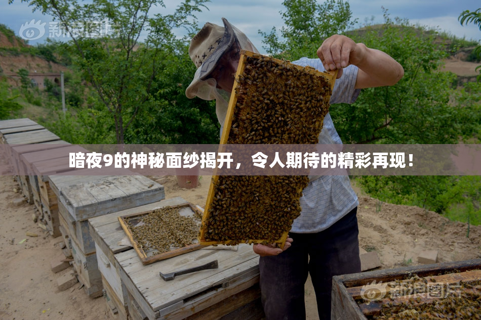 暗夜9的神秘面纱揭开，令人期待的精彩再现！