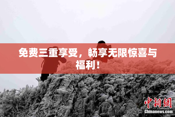 免费三重享受，畅享无限惊喜与福利！