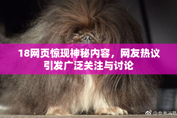 18网页惊现神秘内容，网友热议引发广泛关注与讨论