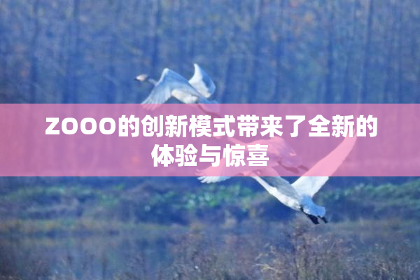 ZOOO的创新模式带来了全新的体验与惊喜