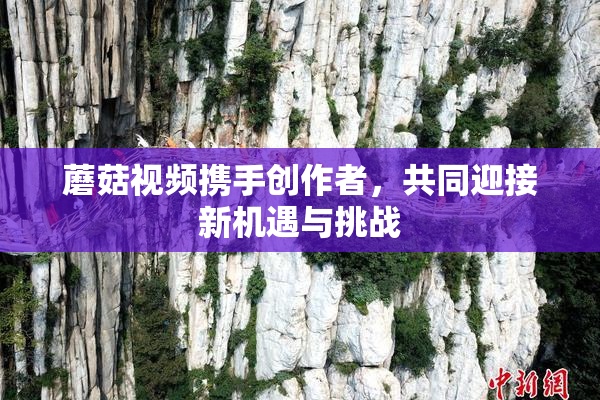 蘑菇视频携手创作者，共同迎接新机遇与挑战