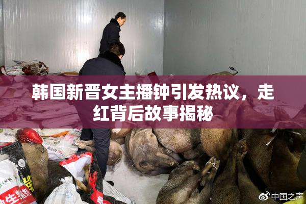 韩国新晋女主播钟引发热议，走红背后故事揭秘