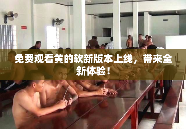 免费观看黄的软新版本上线，带来全新体验！