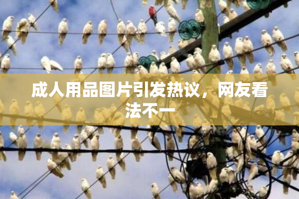 成人用品图片引发热议，网友看法不一