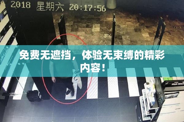 免费无遮挡，体验无束缚的精彩内容！