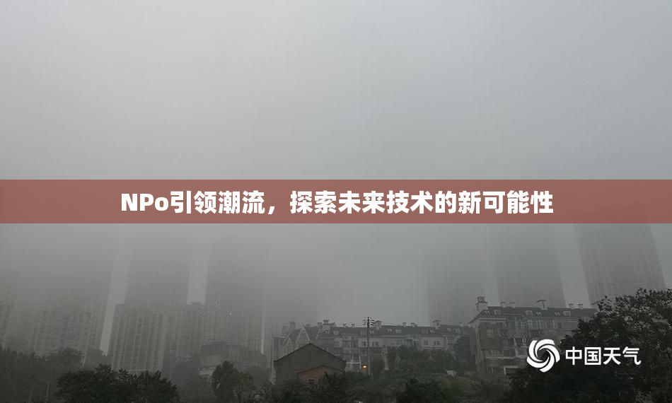 ΝPo引领潮流，探索未来技术的新可能性