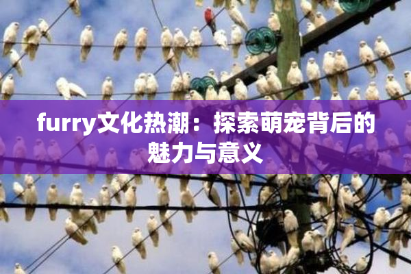 furry文化热潮：探索萌宠背后的魅力与意义